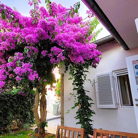 Holiday Home Zora: Family Retreat Near Kamenjak Nature Park Premantura Exterior photo